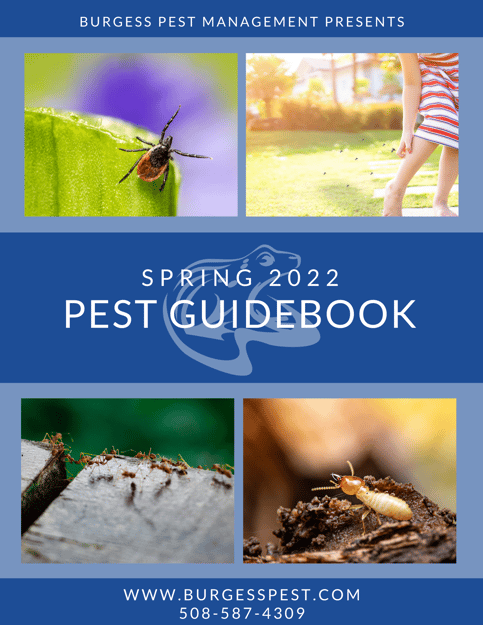 Spring 2022 Pest Guidebook Massachusetts Rhode Island