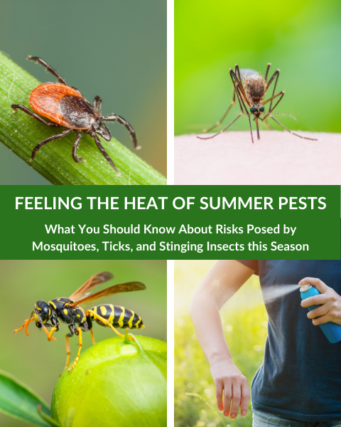Summer Pest Threats Massachusetts and Rhode Island