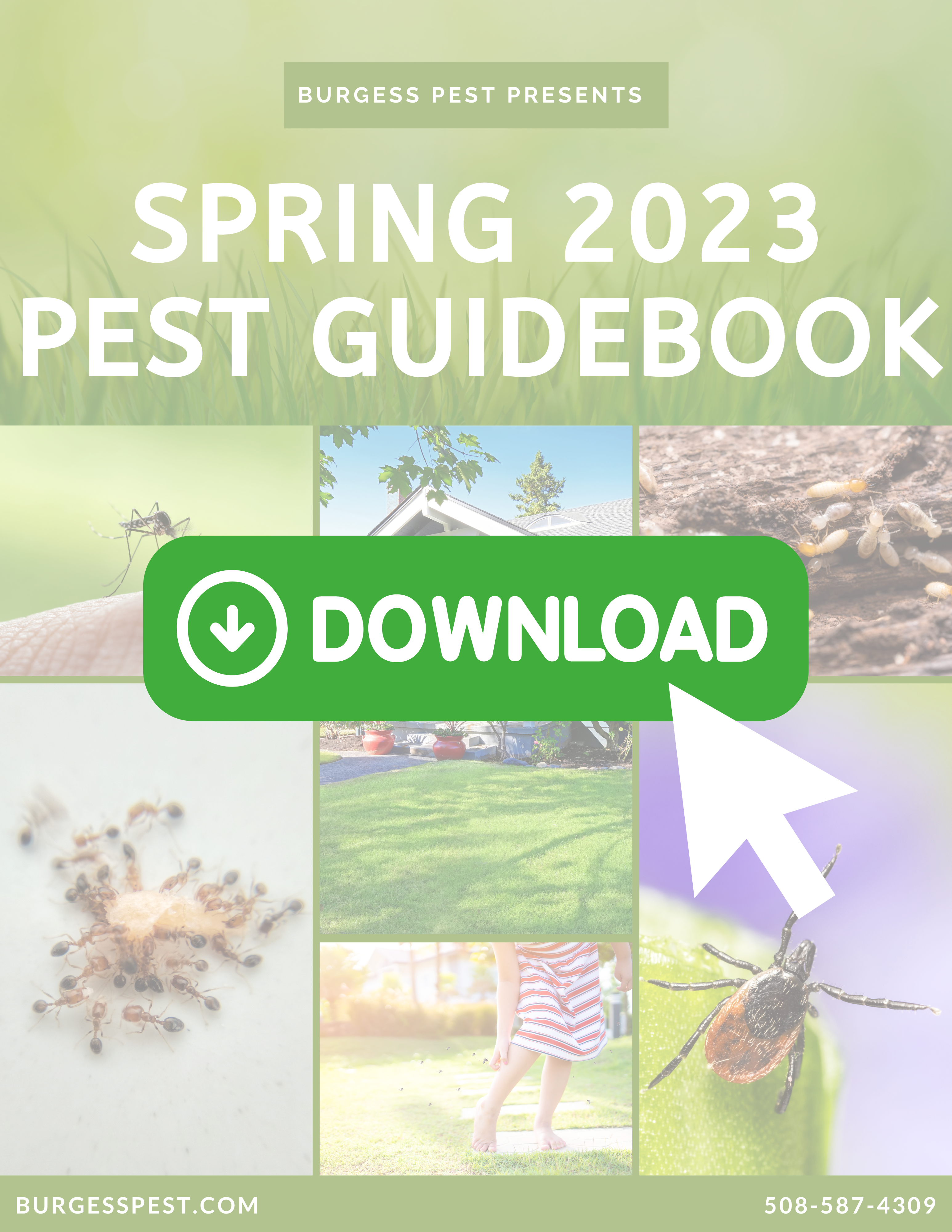 Massachusetts and Rhode Island Free Spring Pest Guidebook