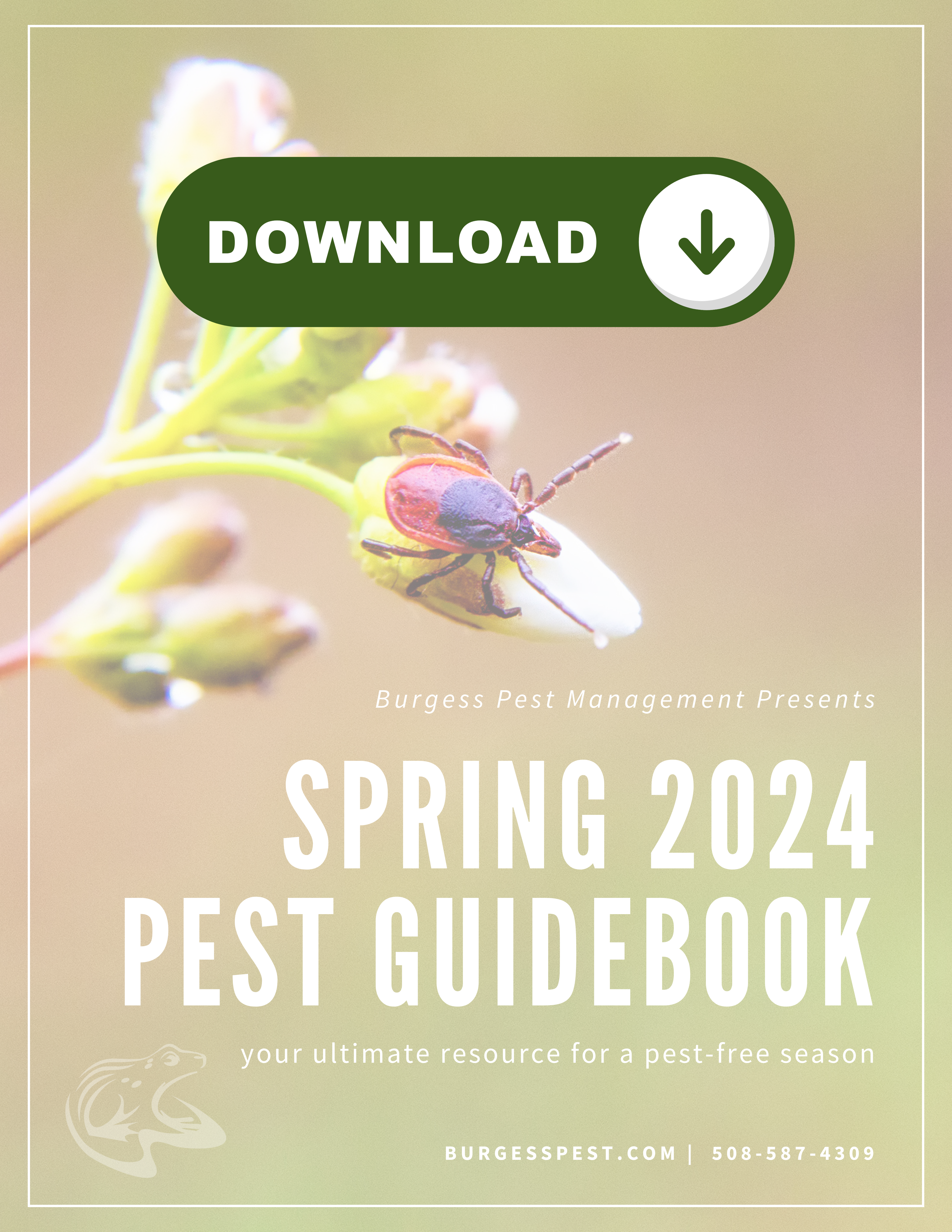 Massachusetts and Rhode Island Free Spring Pest Guidebook